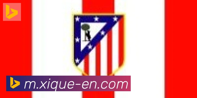 开云app合作伙伴