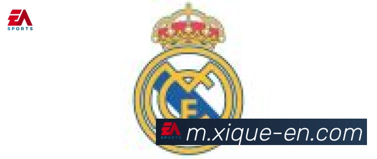 开云app合作伙伴